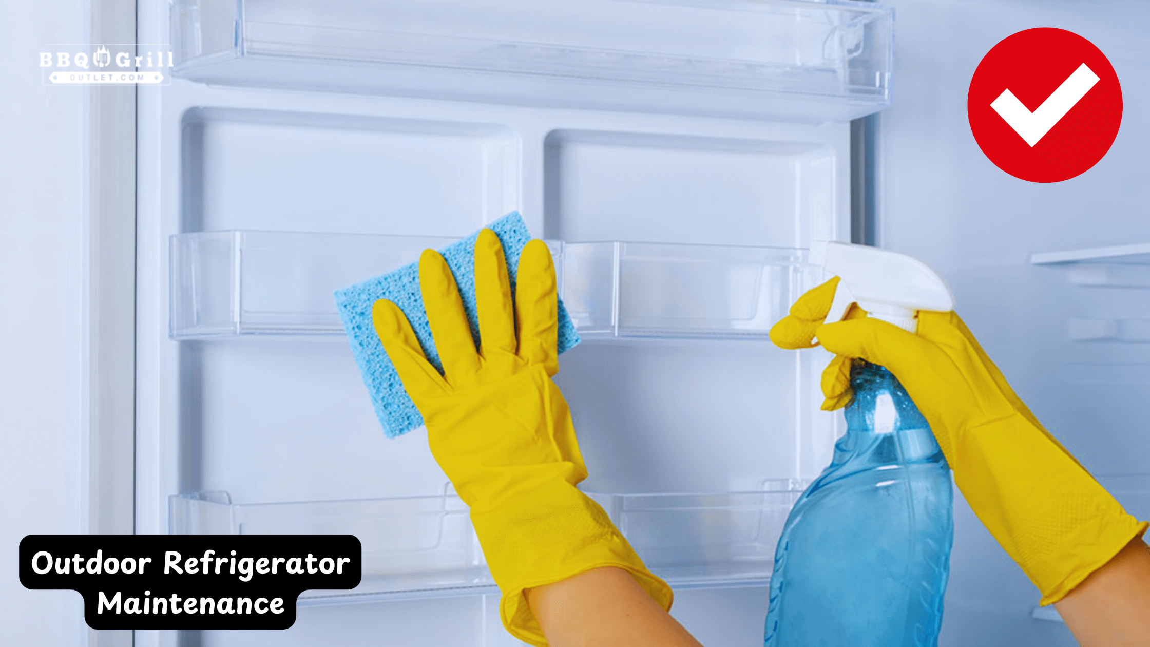 Maintenance & Care for Longevity